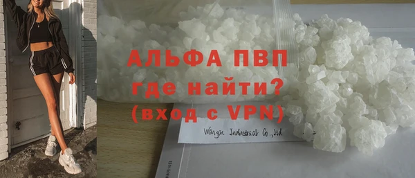 прущие грибы Дмитровск
