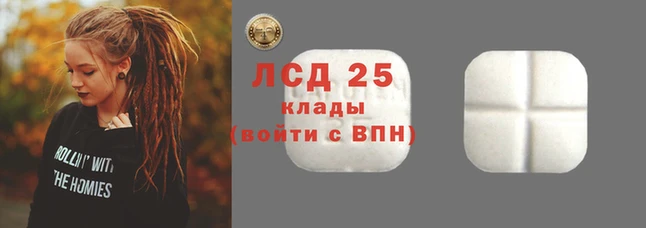 apvp Дмитров
