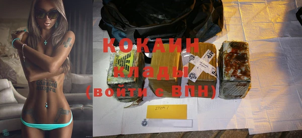 прущие грибы Дмитровск