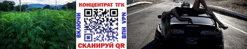 Купить где  Никольское  ТГК THC oil 