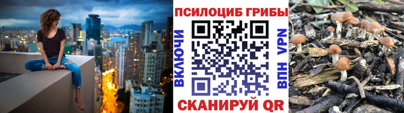 Купить  Никольское  Галлюциногенные грибы MAGIC MUSHROOMS 